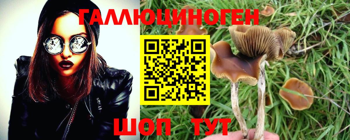 Галлюциногенные грибы Magic Shrooms  Вход с VPN  Каспийск  Галлюциногенные грибы MAGIC MUSHROOMS 